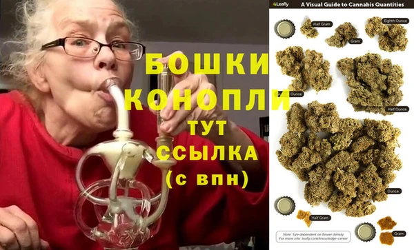 молекула духа Алзамай