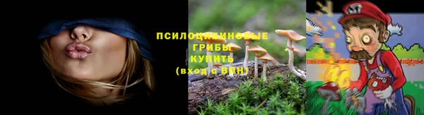a pvp Алексеевка
