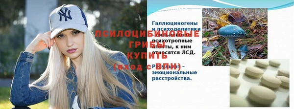 молекула духа Алзамай