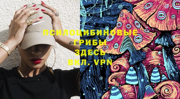 молекула духа Алзамай