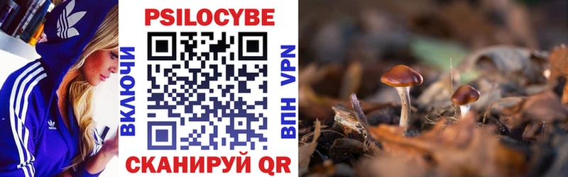 Псилоцибиновые грибы MAGIC MUSHROOMS  что такое наркотик  это телеграм  Тюмень 