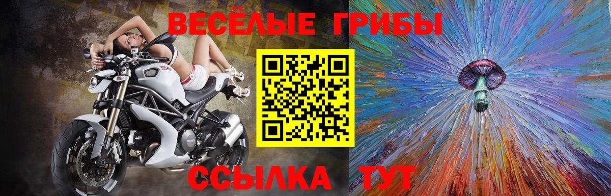 Галлюциногенные грибы Magic Shrooms Тюмень